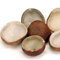 Dry Coconut Whole - Khopra Sabut کھوپرا ثابت. 