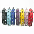 Spike Collar For Medium Dogs. 