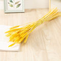 FY Wheat Ears Dried Flower Bouquet Preserved Natural Bunga Kering Sejambak Hiasan Rumah Home Decoration 干花麦穗大麦. 