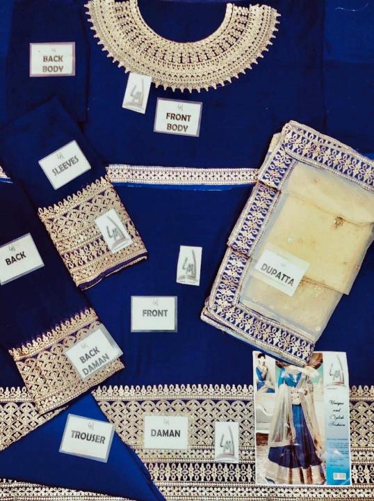 Indian%20Chiffon%20Bridal%20Embroidery%20maxi%20With%20Net%20Embroidery%20Dupatta%20-%20Image%204