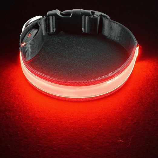 PetIsay Ultimate LED Dog Collar - USB Rechargeable with Water Resistant - Reflective Light up Dog Collar Flashing Light - Adding Safety to Night-time Walks(Red, S)