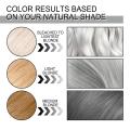 Hot Fashion Womens Dye Hair Cream Hair Color Permanent New Smoky Gray Punk Style Light Silver Grey Grandma Gray Hair Dye Product. 