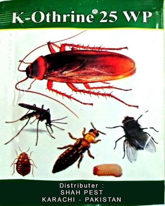 Insect Killing Powder Sachet (K-Othrine) - 25 gram