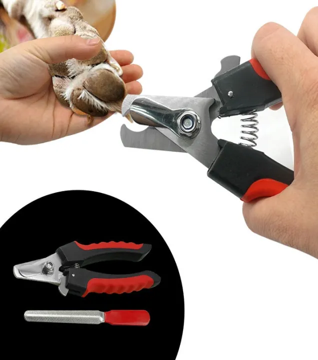 Cat%20Nail%20Clipper%20Cutter%20Dog%20Nail%20Clipper%20Cutter%20Pets%20Pet%20Toe%20Care%20Stainless%20Steel%20Dogs%20Cats%20Scissors%20Clippers%20Grooming%20Trim%20Nails%20Birds%20+%20Nail%20File%20-%20PS318%20-%20PS-GR%20-%20Image%202