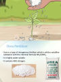 Urea 1 KG For All Plants Fertilizer. 
