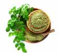 Moringa Powder 100 gm. 