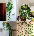 Pack of 12 Artificial Money Plant Leaf Bails 8ft Length Green Hanging Garland for Home, Office, Wedding, and Festival Decoration. 