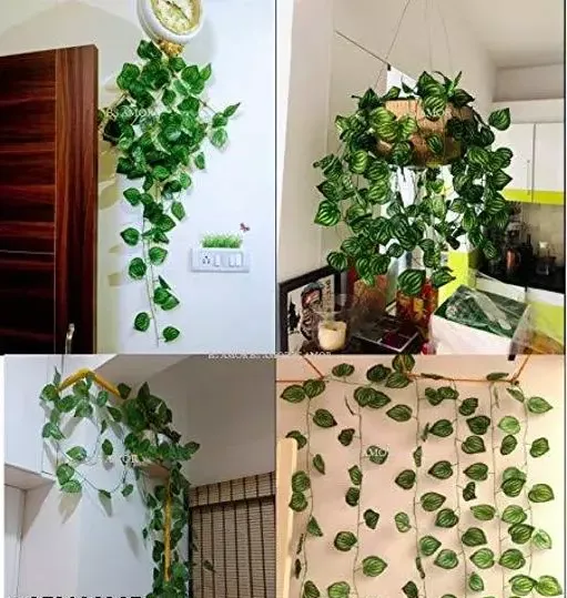 Pack%20of%2012%20Artificial%20Money%20Plant%20Leaf%20Bails%208ft%20Length%20Green%20Hanging%20Garland%20for%20Home,%20Office,%20Wedding,%20and%20Festival%20Decoration%20-%20Image%208