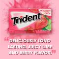 Trident Bubble Gum, Island Berry Lime, Sugar Free Gum, 14 Sticks​. 