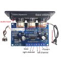 2.1 Channel Digital Amplifier Board with AUX Cable+USB Cable. 
