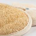 Natural Bath & Body Exfoliating Scrub Pad, Loofah Shower Pad for Hands & Body, Exfoliating Bath Body Scrubber Brush, Organic Hands & Body Scrubber, Naturl Dried Luffah Pad, Dead Skin Remover Pad & Scrubber, Soft Bath Luffah. 