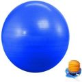 Gym Ball With Air Pump - 75cm. 
