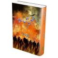 Raqs e Bismil. 