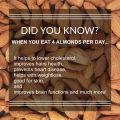 Abdul Wadi Badam Best Quality Mamra Almond 1 KG. 