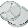 GLASS PETRI DISH. 