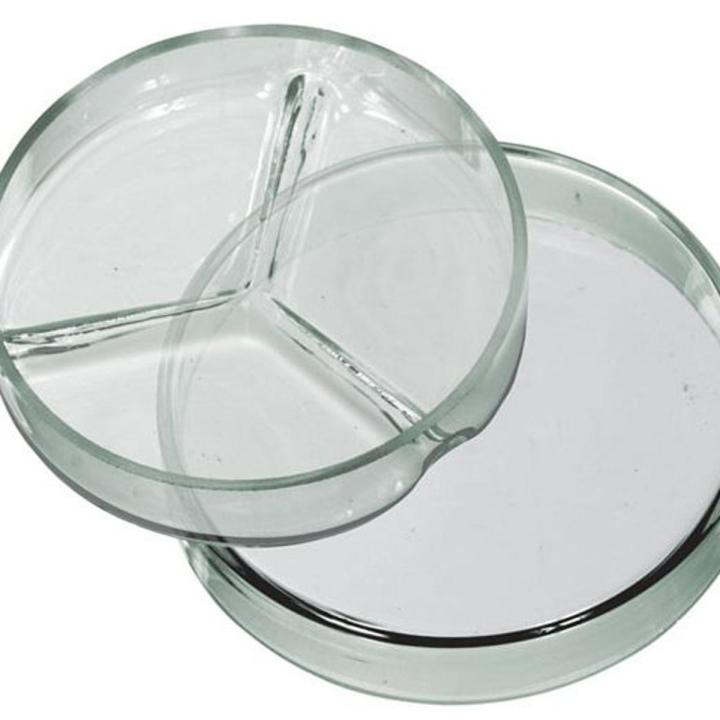 GLASS PETRI DISH