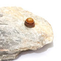 High Quality Natural irani Sulemani Aqeeq Stone For Ring , Bracelet or Necklace | Fancy Beautiful Real Gemstone Agate. 