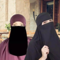 Half Niqab Patti For Girls In Colours, Half Nikab, Half Niqab For Girls, Half Niqab Set, Half Niqabs, Half Niqab Pati For Girls. Dream Wholesaler. 