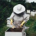 Pro Beekeeping Protective Equipment Veil Bee Keeping Full Body Suit Hat Smock. 