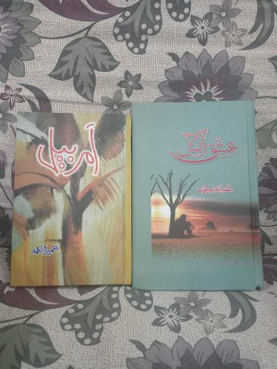 AMAR BAIL AND ISHQ AATISH (PACK OF 2) BEST READING NOVELS.
