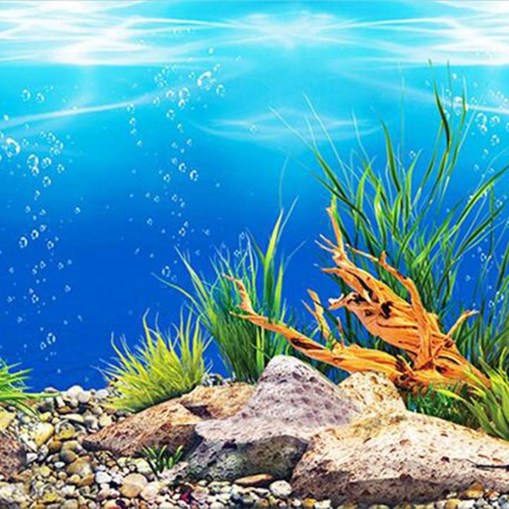 FLYEER%20Aquarium%20background%20paper%20HD%20picture%203d%20three-dimensional%20fish%20tank%20wallpaper%20background%20painting%20double%20sided%20aquarium%20decorative%20fish%20tank%20sticker%EF%BC%8840*82cm%EF%BC%89%20-%20Image%202