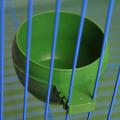 【Flash sale】 Bird Feeding Bowl Food Water Plastic Round Cup Holder Parrot Pigeon Cage Feeder. 