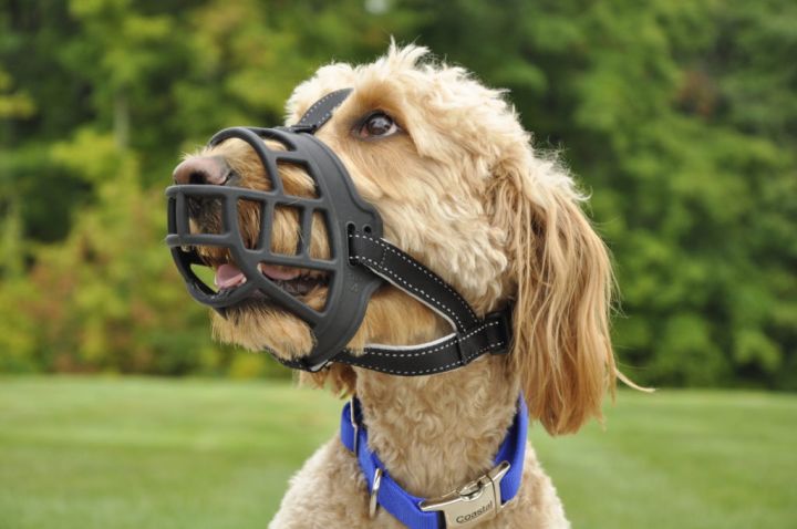 High Quality Rubber Muzzles For dogs - Small