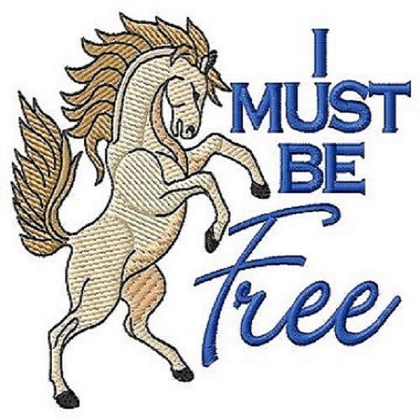 Wilcom%20Embroidery%20studio%20e4.2%20Software%20Remote%20Installation%20-%20Image%207