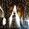 Longest  Wire Fairy Lights Decoration LED Lights. 