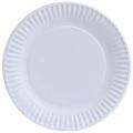 Nicole Home Collection 100 Count Everyday Dinnerware Paper Plate, 9-Inch, White. 