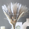 Stuffed ToysStuffed Toys, Rhapsody Factory Lavender Reed Mixed Bouquet Natural Dried Bouquet Scene with Landscaping Home Decoration. 