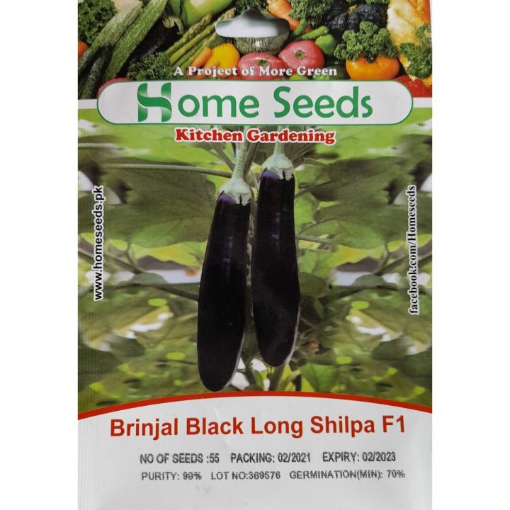 Seeds- Brinjal Black Long Shilpa F1 Hybrid by home seeds