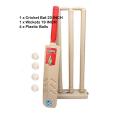 Cricket Bat with Wicket Set For Kids - 23 Inches Children's 4 Plastic cricket balls playing Set sports toys fitness equipment. 