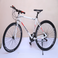 Shima Brand Road Cycle 21 Speed Gear Bicycle 700C Impression Road Bike Cycle for Men and Women - Light Weight Aluminium 27 Inches Racing Bicycle with Adjustable Seat - Road Bikes Bicycle. 