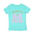 12-18 M and 3-4 Years Girls Branded Carter’s 100% Cotton Promoted To Big Sister Casual TShirt. 