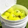Pack Of 12 Hard Spinners balls. 