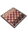 Brains Magnetic Chess Set - Large. 