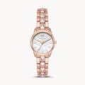 Michael Kors MK6674  Stainless Steel Wrist Watch for Girls / Watch For Women. 