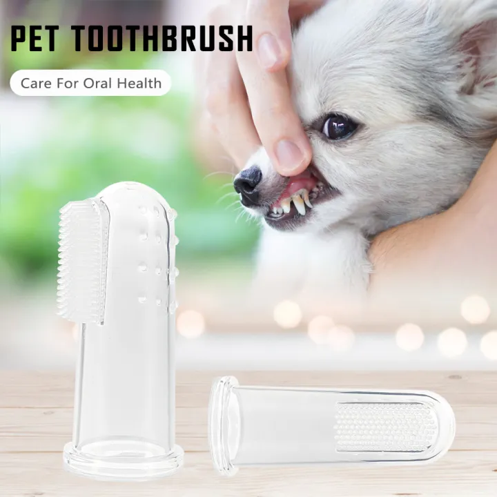 Pet%20Toothbrush%20Toothpaste%20Dog%20Cat%20Finger%20Tooth%20Brush%20Care%20Wholesales%20Pet%20Toothpaste%20-%20Image%202