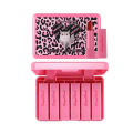 Nude Mini Pink Matte Lipsticks Set all Different Shades. 