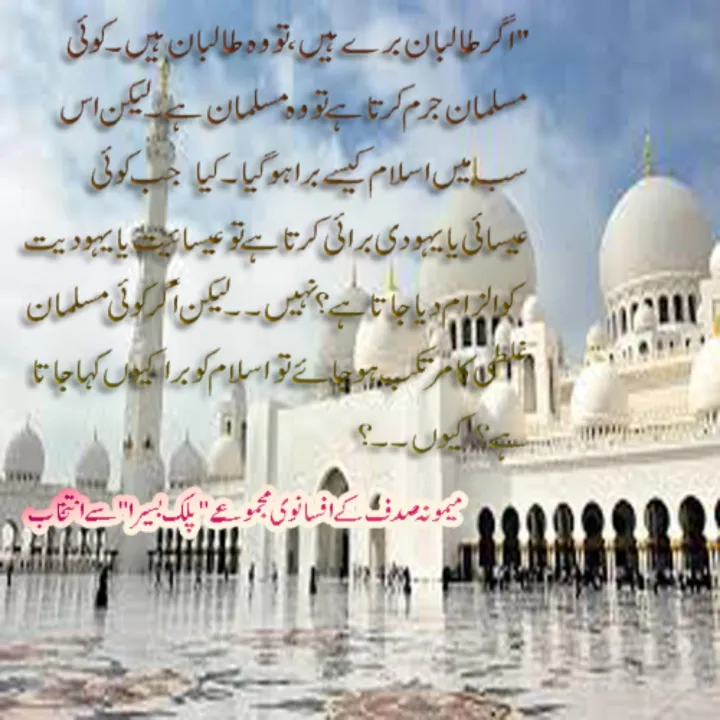 Pallak%20Basaira%20-%20Image%205