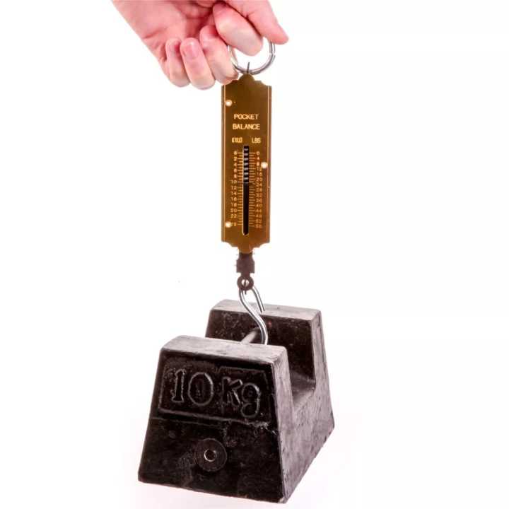 25Kg Pocket Spring Balance Weighing Scale Mechanical Spring Balance Weighing Scale with Hanging