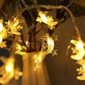 Moon 20 LED 3 meter Fairy Lights Battery Operated - Led String Light for Room Decoration. 
