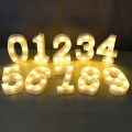 LED Digits / LED Numbers Battery Operated - All LED Numbers (0-9). 