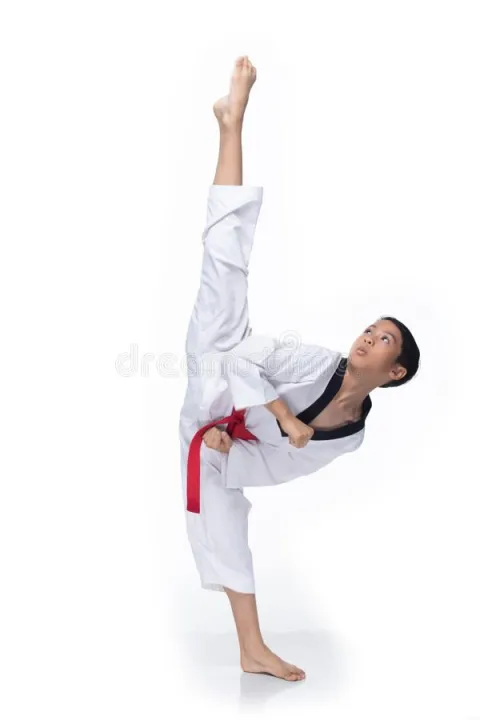 Karate%20Belts%20for%20Martial%20Arts,%20Judo,%20Taekwondo%20TKD,%20Karate,%20Kick%20Boxing%20(SNK%20FITNESS)%20-%20Image%203
