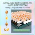 15 Eggs Weiqian Intelligent Incubator Dual Power Supply AC / DC. 