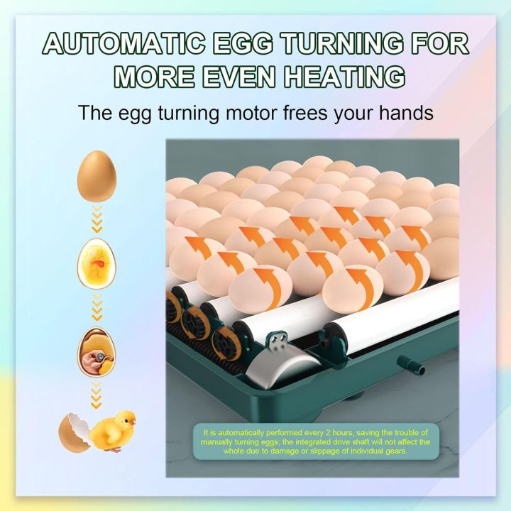 15%20Eggs%20Weiqian%20Intelligent%20Incubator%20Dual%20Power%20Supply%20AC%20/%20DC%20-%20Image%205
