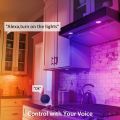 LUMIMAN Smart GU10 Spotlight Bulb, Music Sync, RGBCW Color Changing Bulb, Works with Alexa and Google Assistant, Smart WiFi Control (2.4GHz Wi-Fi Only), 5W 400LM, for Range Hood and Track Lighting. 