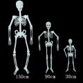HA Halloween Decoration Halloween Props Luminous Fluorescent Skeleton. 