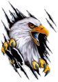 New Fashion 3D Bald Eagle Logo white color Shirt. 